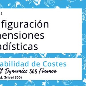Acceso: D3F 11.05. CONFIGURACIÓN DIMENSIONES ESTADÍSTICAS