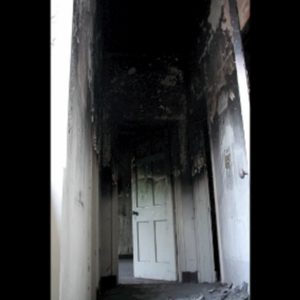 Curso completo: curso aran