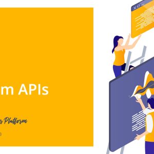 Acceso: ERD – PP – P23.01. Custom APIs
