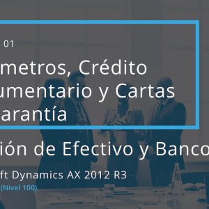 Acceso: AX 06.01. – PARÁMETROS, CRÉDITO DOCUMENTARIO Y CARTAS DE GARANTÍA