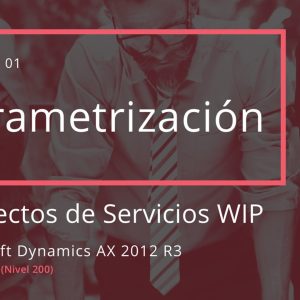 Acceso: AX CP01.01. – PARAMETRIZACIÓN