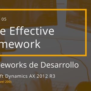 Acceso: AX T03.05 – DATE EFFECTIVE FRAMEWORK