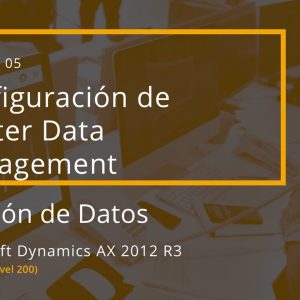 Acceso: T05.05. CONFIGURACIÓN DE MASTER DATA MANAGEMENT