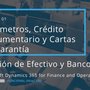 Acceso: D3FO 06.01. PARÁMETROS, CRÉDITO DOCUMENTARIO Y CARTAS DE GARANTÍA