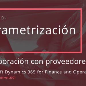 Acceso: D3FO CP01.01. – PARAMETRIZACIÓN